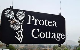 Protea Cottage Self Catering Over Night Accommodation